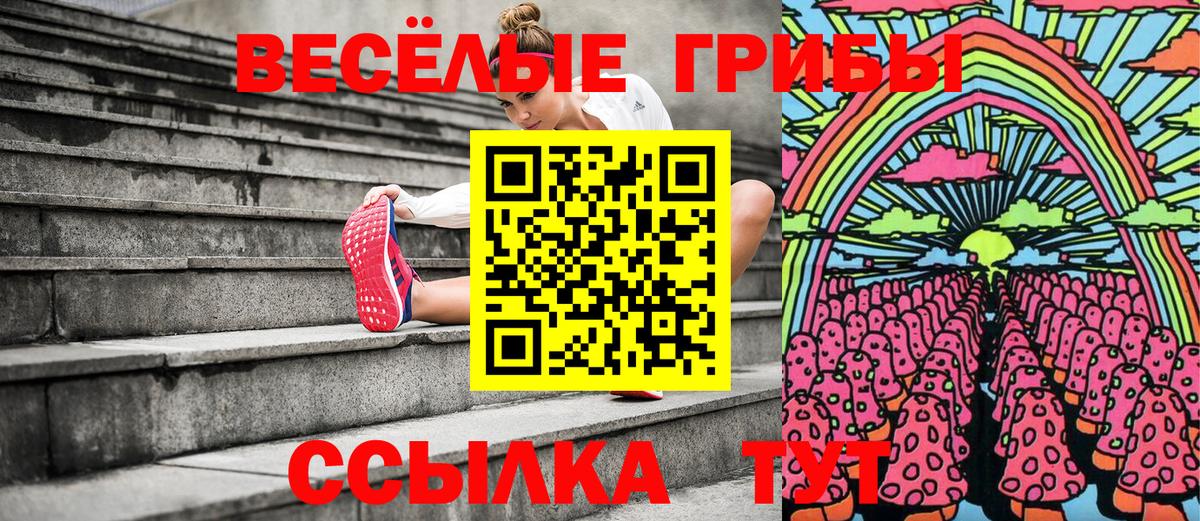 Конаково  Галлюциногенные грибы прущие грибы  Псилоцибиновые грибы Magic Shrooms  хочу наркоту  Вход с VPN 
